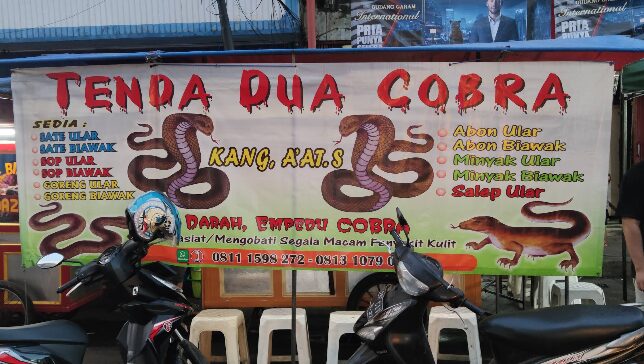 Sate Ular dan Biawak untuk Kesehatan?